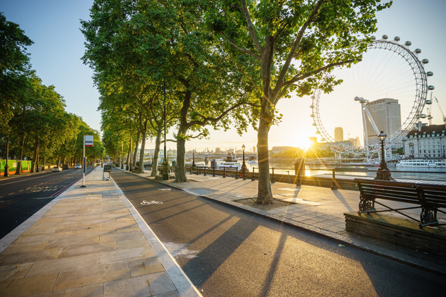 London cycle lane - TRL.jpg