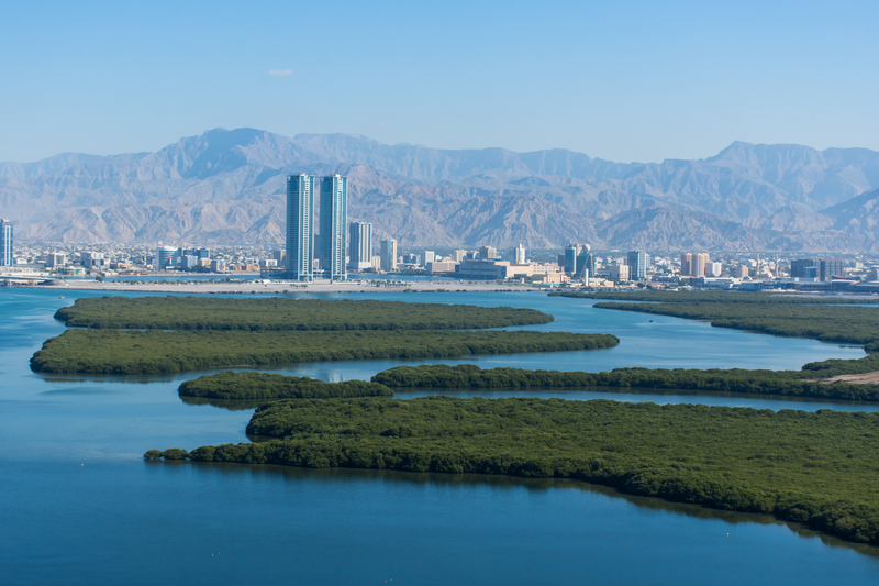 Ras Al Khaimah UAE truck tolling  © Kingmaphotos | Dreamstime.com