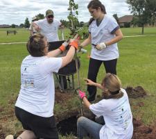 IBTTA VD  50 trees planted