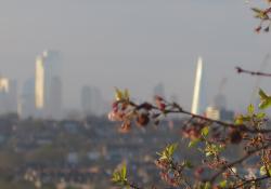 London skyline with greenery