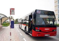 Dubai bus