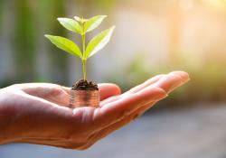 Venture capital investment start-ups growth money © Krisana Antharith | Dreamstime.com