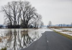 Variable message signs flood road driver danger © Kelemen Tamas | Dreamstime.com