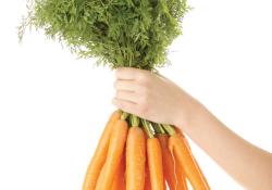 carrots 