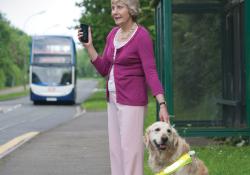 Blind lady with dog standing my bus stop