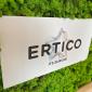 Ertico mobility data Toulouse interoperability 